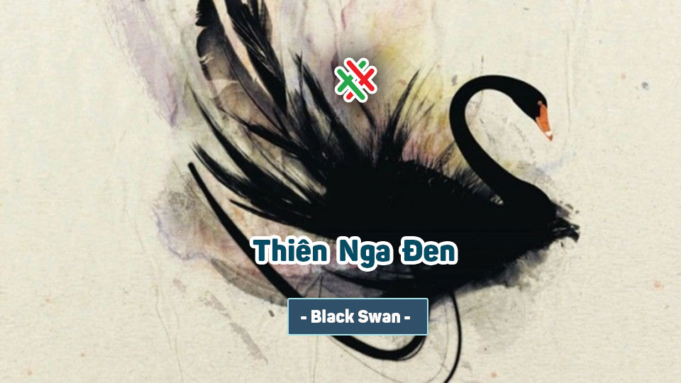 Thiên Nga Đen – Black Swan – Phần 3 – Chương 16: Mỹ Học Về Tính Ngẫu Nhiên