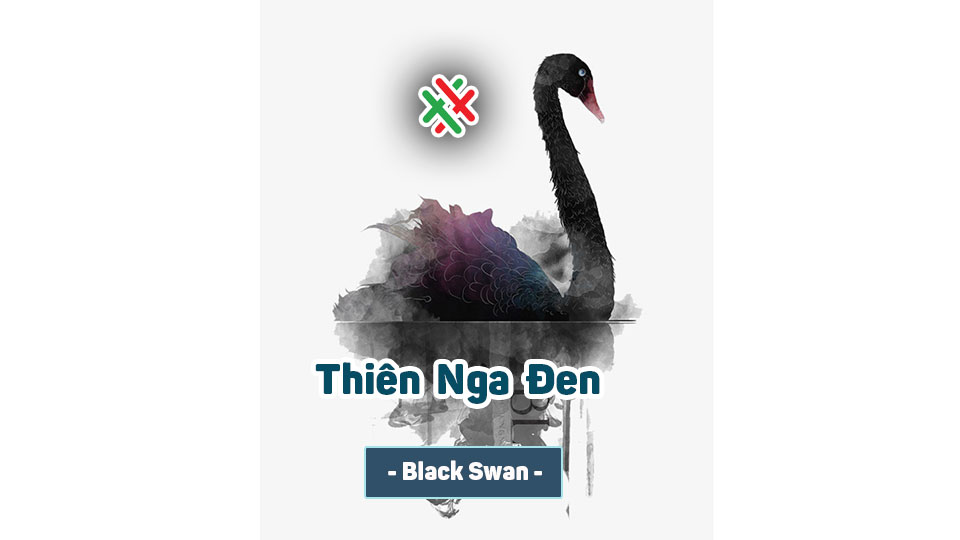Thiên Nga Đen – Black Swan