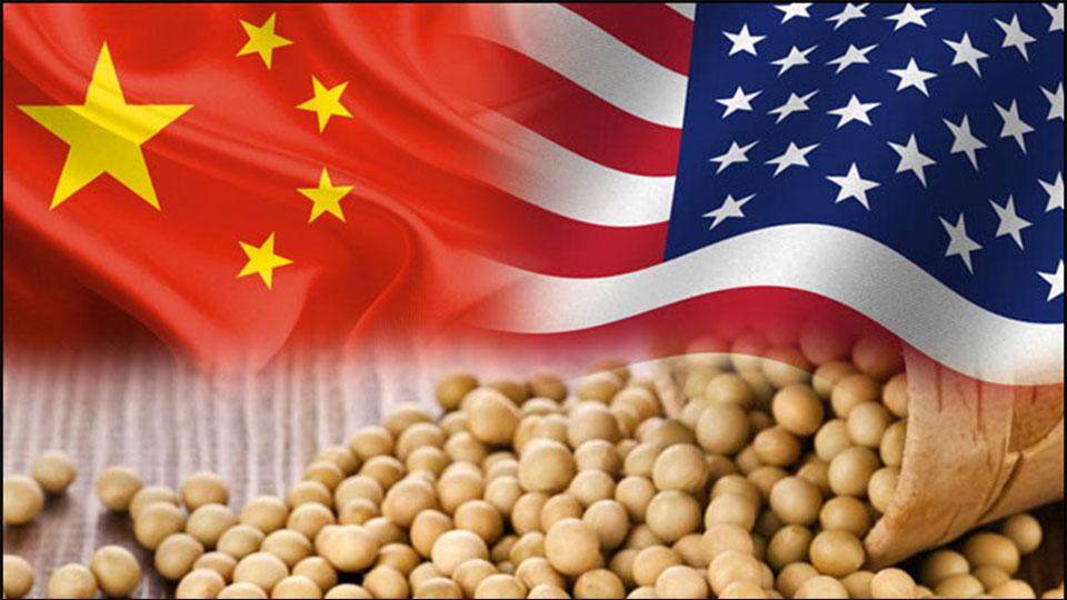 Trung Quốc ‘xuống thang’, Miễn thuế với thịt lợn và đậu tương Mỹ, chiến tranh thương mại hạ nhiệt!