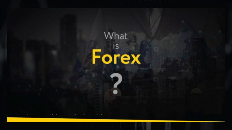 Thị trường Forex là gì? Nên bắt đầu từ đâu?